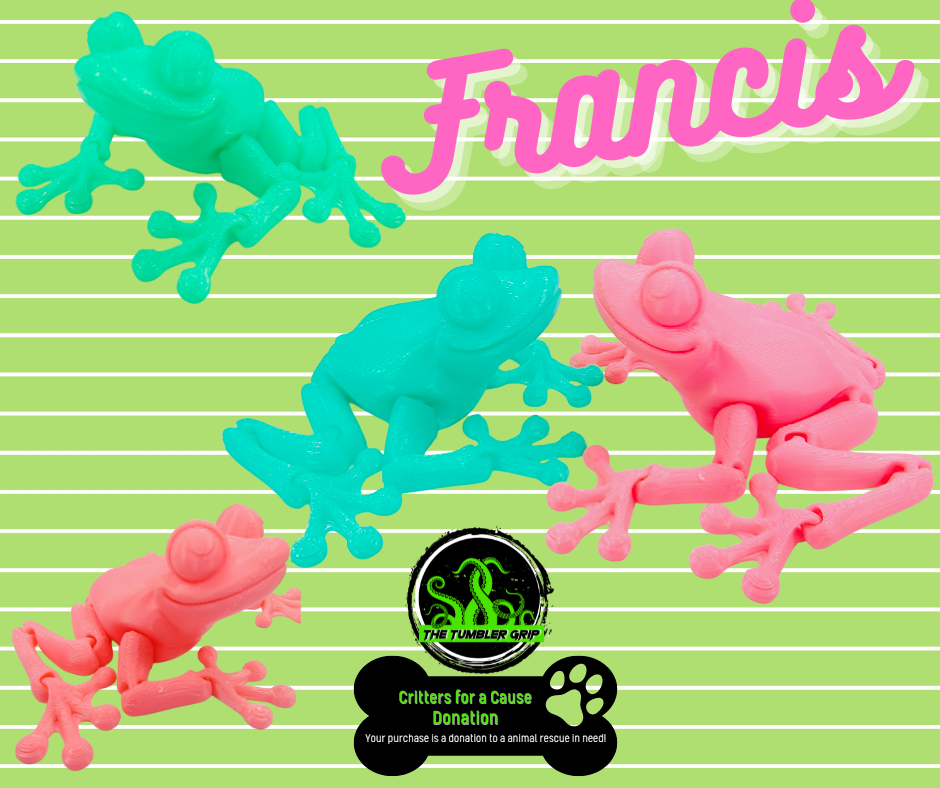 Francis the Frog - Critters FUR A CAUSE Articulated 3D Print FREE Shipping